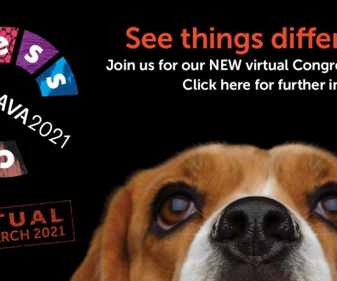 BSAVA Virtual Congress 2021 goes live 