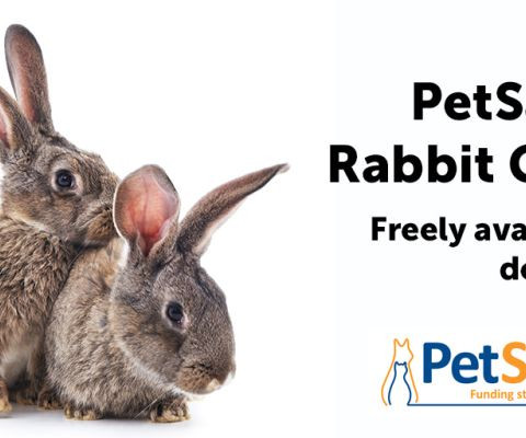 The PetSavers - BSAVA rabbit guide