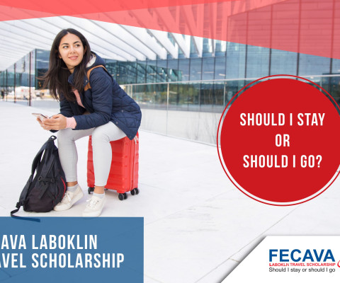 FECAVA Laboklin Travel Scholarship