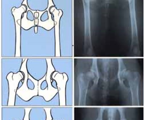 Skúška posudzovateľa DBK A DLK, štvrtok 24.10.2019