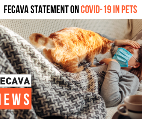 FECAVA Statement on COVID-19 and pets