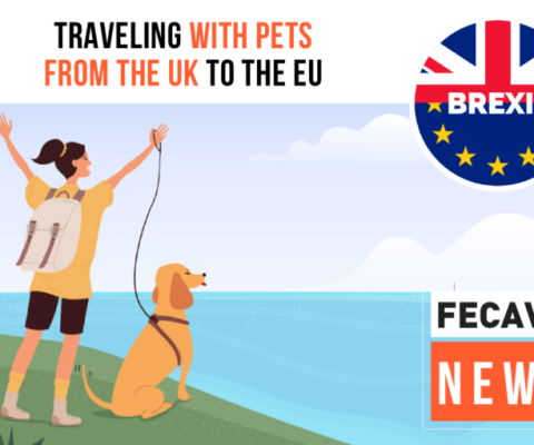 Traveling with Pets from the UK to the EU