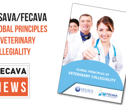 FECAVA and WSAVA Mark Blue Monday with Commitment to Veterinary Collegiality