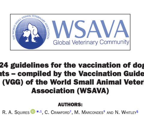 2024 WSAVA Vaccination guidelines