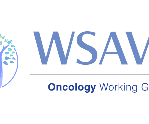 Questionary of the WSAVA Oncology Committee