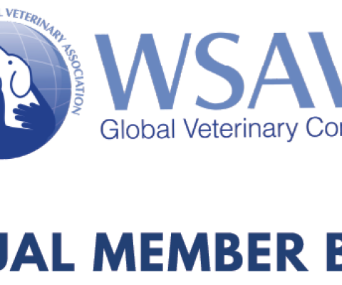 WSAVA Individual Member Benefits
