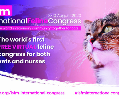 ISFM International Feline Congress: An innovation in CPD