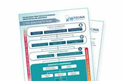 FECAVA Banner GlavnaStran PoliciesActions 285x190 11 2020 SLO 8 390x260
