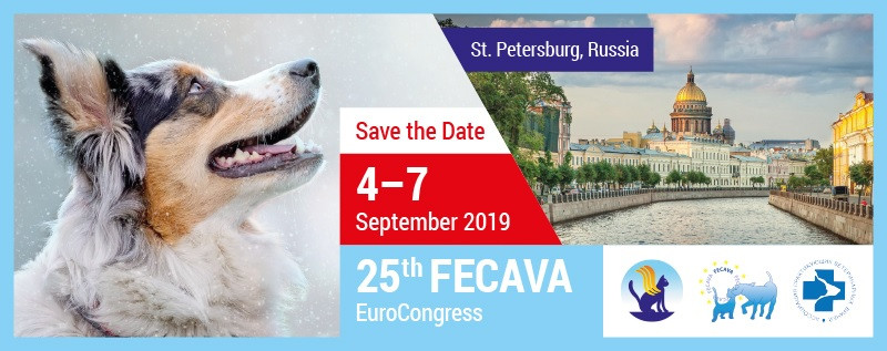 FECAVA2019