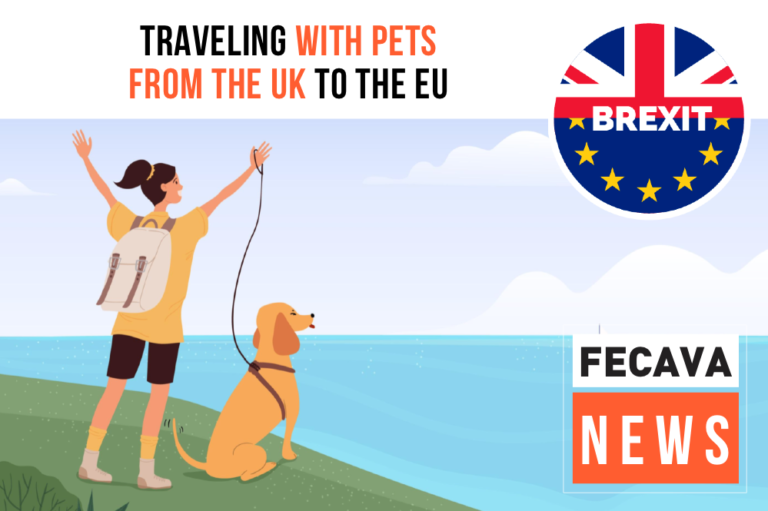 Screenshot 2020 10 11 at 18.44.46 768x511