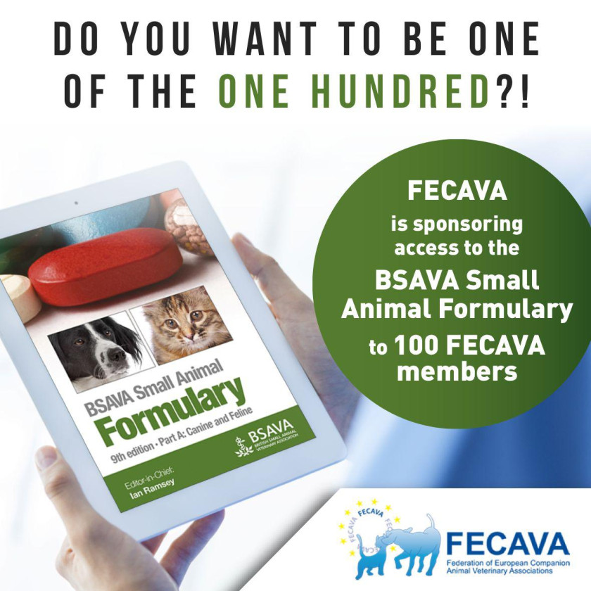 bsava