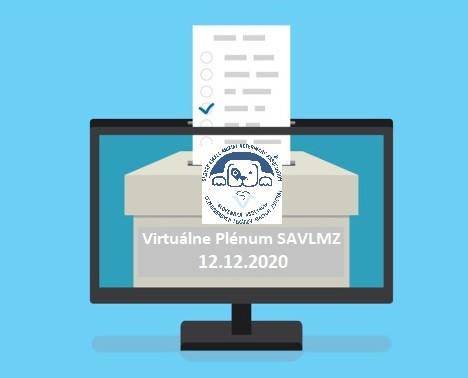 virtualne volby obr