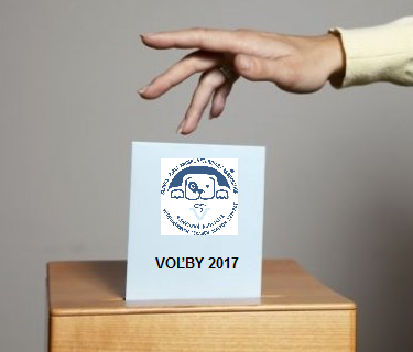 volby