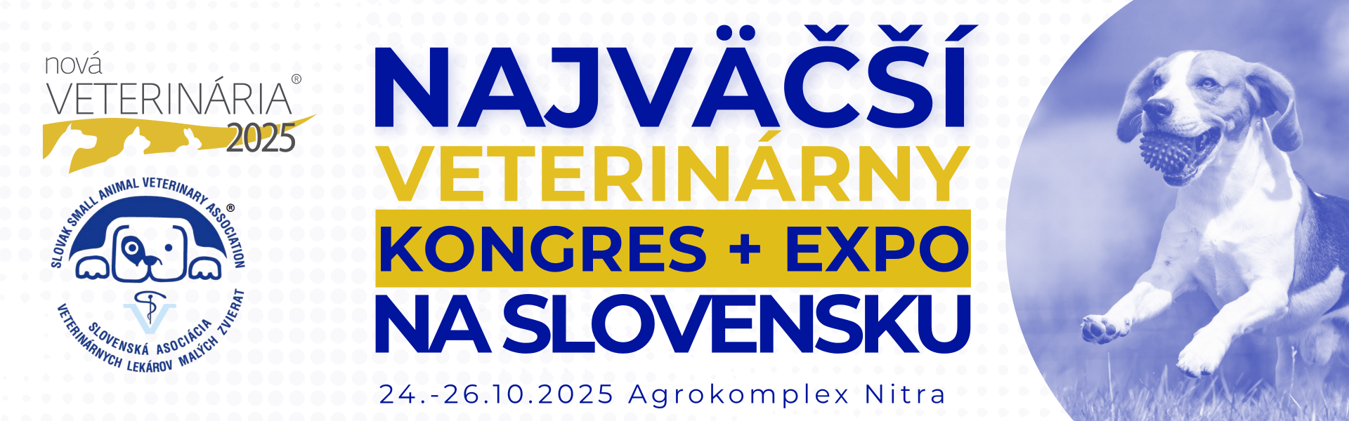 baner 2025 3