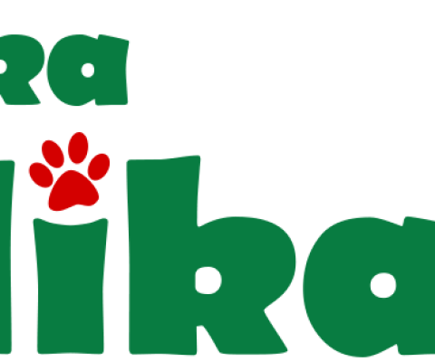 Veterinárny lekár/-ka